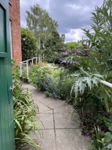 View into a garden